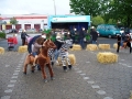 chevaux-mecaniques